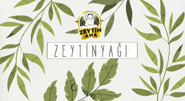 yeşil zeytin, yeşil zeytin faydaları, zeytinyağının saça faydaları