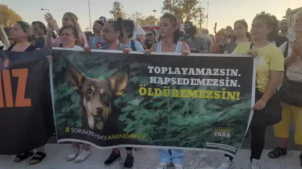 İmaj