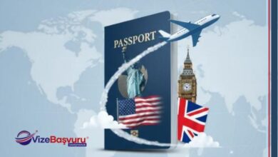 Online Vize Başvurusu, Vize Başvurusu